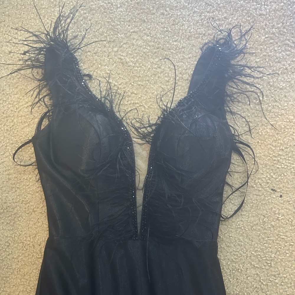 Elegant Black Feathered Dress